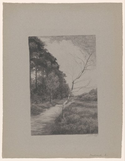  作： Jan Veth