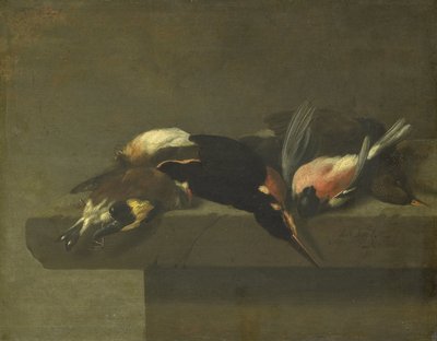 死んだ鳥 作： Jan Vonck