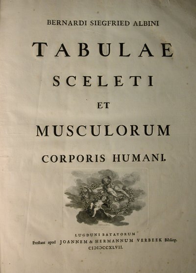 J.undHから出版されたBernhard Siegfried Albinus（1697-1770）による、人体の骨格と筋肉の表からのアルバム1、タイトルページ。 Verbeek、bibliop。、ライデン、1747 作： Jan Wandelaar