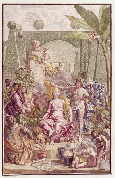 カールリンネウスによる「ホルトゥスクリフォルティアヌス」の口絵（1707-78） 作： Jan Wandelaar