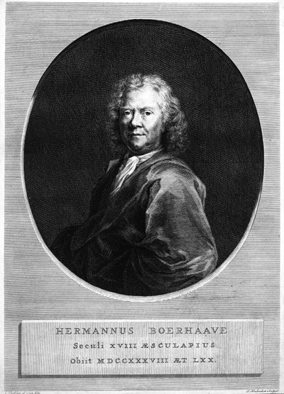 Jacobus Houbrakenによって刻まれるハーマンBoerhaave 作： Jan Wandelaar