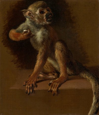 座っている猿 作： Jan Baptist Weenix