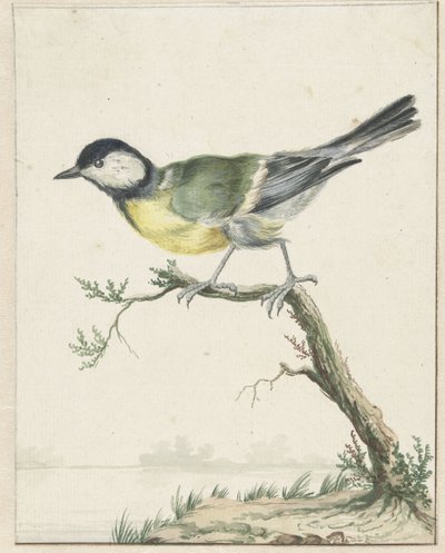 シジュウカラ 作： Jan Baptist Weenix