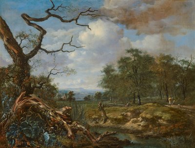森の端の風景 作： Jan Wijnants