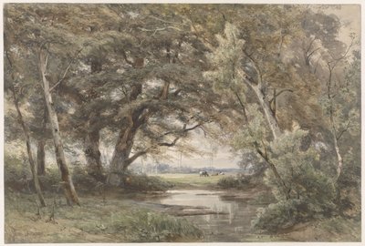 森の端にある木の下の水 作： Jan Willem van Borselen
