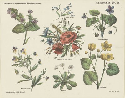 野の花（オブジェのタイトル） 新しいオランダの子供の版画 (オブジェクトのシリーズ タイトル) 作： Jan de Haan