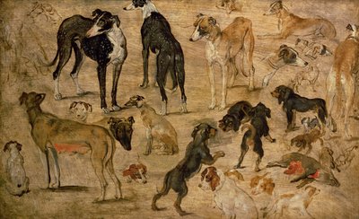 猟犬の研究、1616 作： Jan the Elder Brueghel
