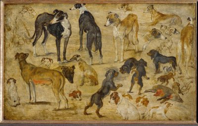 階層研究 作： Jan the Elder Brueghel
