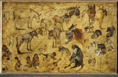 層の研究 作： Jan the Elder Brueghel