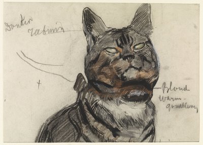 猫、カラーノート付き 作： Jan van Essen