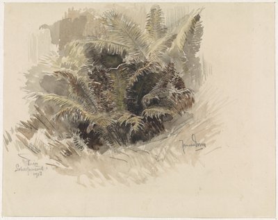 Scherpenzeel の庭のロイヤル ファーン 作： Jan van Essen