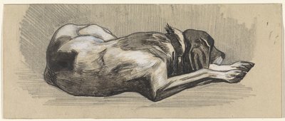 眠っている犬、右へ 作： Jan van Essen