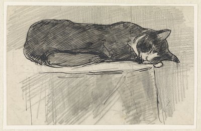 眠る猫 作： Jan van Essen