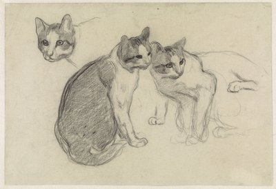 猫と一緒にお勉強シート 作： Jan van Essen