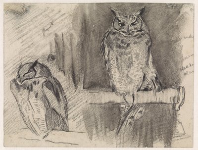 フクロウの 2 つの習作 作： Jan van Essen