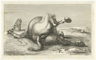 後ろから見た倒れた馬 落ち馬（シリーズタイトル） 作： Jan van Huchtenburg