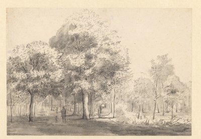 Haarlemmerhout のビュー、ハールレム 作： Jan van Kessel (attributed to)