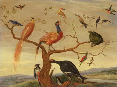鳥のコンサート（銅板に油彩） 作： Jan van Kessel the Elder