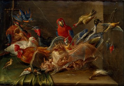 鳥と二匹のコウモリの装飾的静物画 17世紀中頃 作： Jan van Kessel