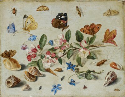 花と昆虫、1650 年代後半または 1660 年代前半 作： Jan van Kessel