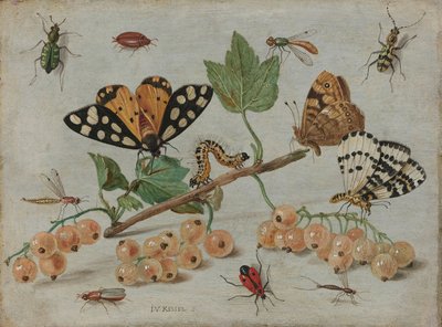 昆虫と果実、1660年頃-5（銅に油彩） 作： Jan van Kessel the Elder