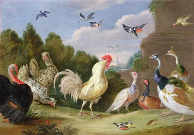 雄鶏、トルコ、雌鳥および他の鳥、17世紀の森の風景 作： Jan van Kessel the Elder
