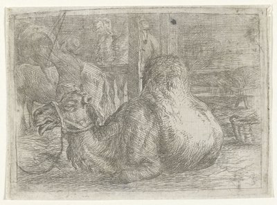 横になっているラクダ 作： Jan van Ossenbeeck