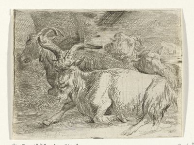 2頭のヤギと2頭の羊 作： Jan van Ossenbeeck