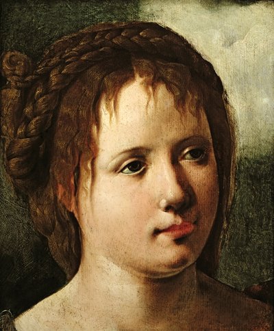 少女の頭、153035 作： Jan van Scorel