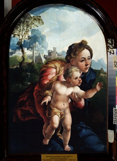 聖母子 (Virgin and Child)。 Jan Van Scorel (1495-1562) による絵画。 木に油彩、66 x 45 cm 作： Jan van Scorel