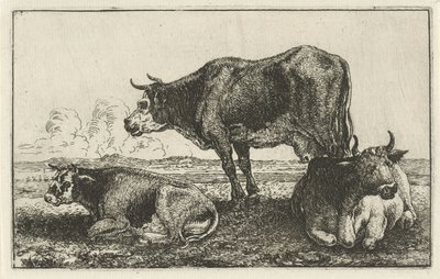 3頭の牛 動物（シリーズタイトル） ズーグラフィアム（シリーズタイトル） 作： Jan van den Hecke