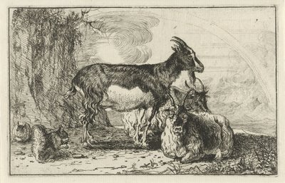 ヤギ 動物（シリーズタイトル） ズーグラフィアム（シリーズタイトル） 作： Jan van den Hecke