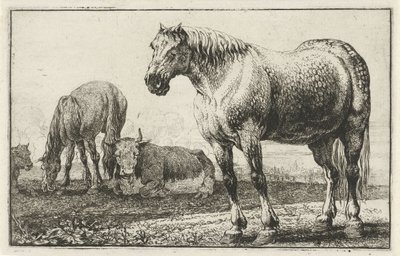 馬と牛 動物（シリーズタイトル） ズーグラフィアム（シリーズタイトル） 作： Jan van den Hecke