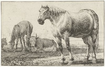 馬と牛 動物（シリーズタイトル） ズーグラフィアム（シリーズタイトル） 作： Jan van den Hecke