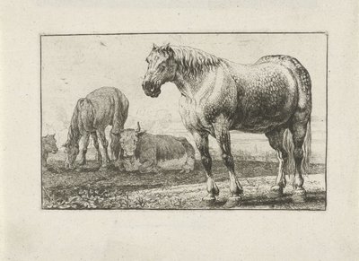 馬と牛 動物（シリーズタイトル） ズーグラフィアム（シリーズタイトル） 作： Jan van den Hecke