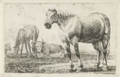 馬と牛 動物（シリーズタイトル） ズーグラフィアム（シリーズタイトル） 作： Jan van den Hecke