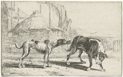 男性と女性 動物（シリーズタイトル） ズーグラフィアム（シリーズタイトル） 作： Jan van den Hecke