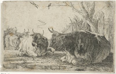 牛の休息 動物（シリーズタイトル） ズーグラフィアム（シリーズタイトル） 作： Jan van den Hecke