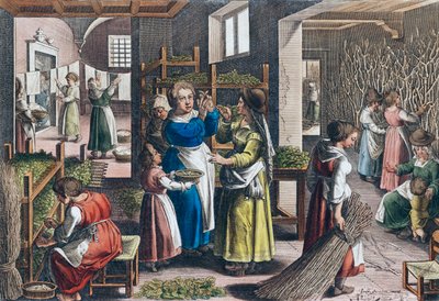 16世紀のヨーロッパにおける絹の生産（版画） 作： Jan van der (1523 1605) (after) Straet