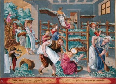 蚕のために桑の葉を棚に並べる女性たち フィリップ・ガレ（1537-1612）の「Vermis Sericus（蚕）」より第5図（版画）。 作： Jan van der Straet
