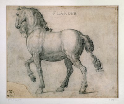 ジョヴァンニ・ストラダーノ（ヤン・ファン・デル・ストラート）の《フランダース図》の馬の習作（1523-1605年） フィレンツェ、ウフィッツィ美術館Gabinetto Disegni e Stampe（オフィス 作： Jan van der Straet
