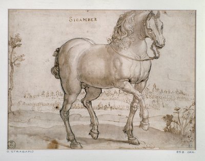 シカンバー馬の習作 ジョヴァンニ・ストラダーノ（ヤン・ファン・デル・ストラート）によるデッサン（1523-1605年） フィレンツェ、ウフィツィ美術館Gabinetto Disegni e Stampe（オフィス）。 作： Jan van der Straet