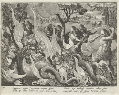 クラブとトーチを使用して下草を照らすインドでの蛇の捕獲、Venationes Ferarum、Avium、Piscium（狩猟：野生の獣、鳥、魚）パブのプレート44。 1640 作： Jan van der 1523 1605 Straet