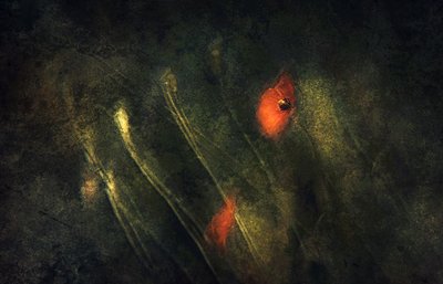 作： 