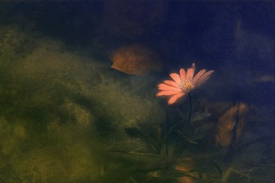 作： 