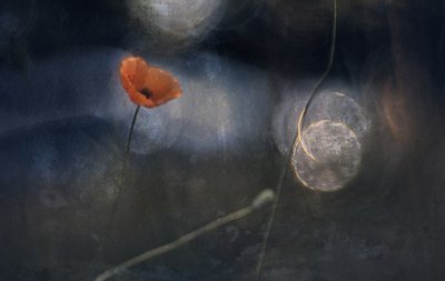  作： 