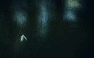  作： 