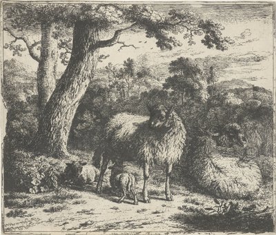 2 頭の子羊と立っている羊 作： Jan van der Meer (II)