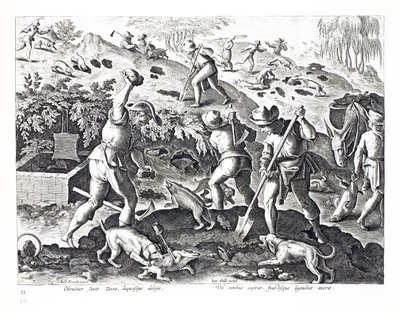 Jan Collaert（1566-1628）によって刻まれた &39;Venationes、Ferarum、Avium、Piscium&39;（Of Hunting：Wild Beasts、Birds、Fish）のイラストから、アナグマを掘り出して捕らえました。フィリップス・ガレウス、アムス 作： Jan van der Straet