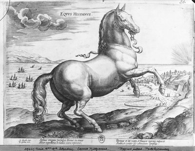 馬スペイン 作： Jan van der Straet